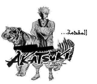 صورة مرفقة